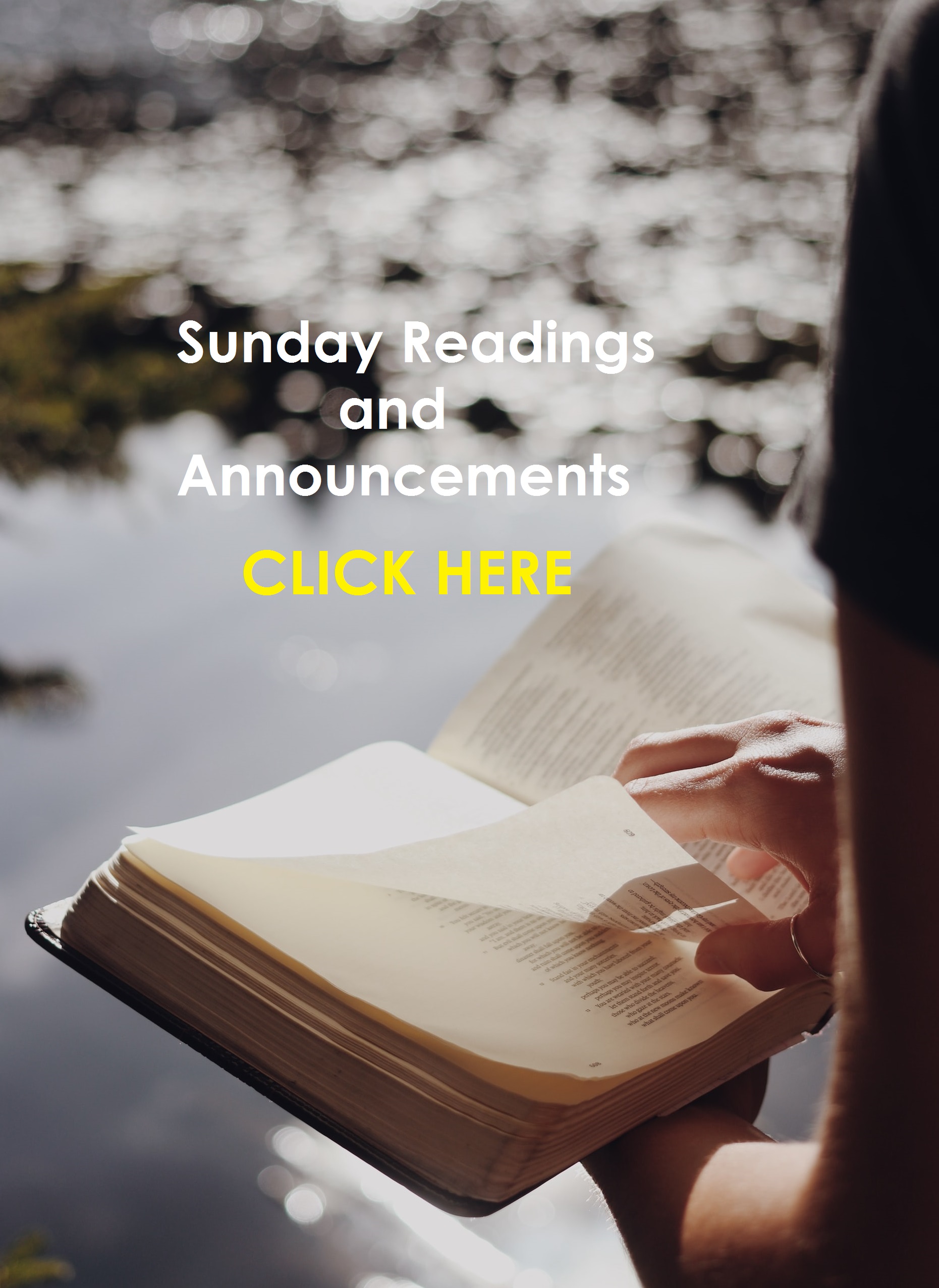 Sunday Readings and Announcements